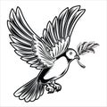 Peace Pigeons Birds Annimal Drawing Vector Illustration Royalty Free Stock Photo