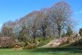 Peace Arch Park in winter