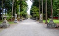 peace and beautiful walk way in a Japanese shrine