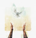 Peace conceptual painting with human hands stretched up towards a flying white pigeon. Stop war, harmony and pacification concept