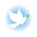 Peace dove Royalty Free Stock Photo