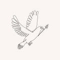 Peace dove carrying an olive branch