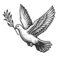 Peace Dove with Olive Branch engraving raster Royalty Free Stock Photo