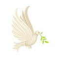 Peace dove with olive branch. White pigeon flying with green twig in its beak vector illustration Royalty Free Stock Photo