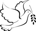 Peace dove