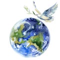 Peace On Earth. Flying white dove and olive branch watercolor illustration. Royalty Free Stock Photo