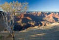 At Peace in Grand Canyon