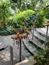 Peace of mind  Beautiful Greenery , Natural Garden & Colorful  parrots,  front area seen Royalty Free Stock Photo