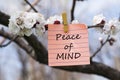 Peace of mind in memo