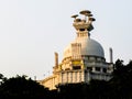 Peace Pagoda of Dhauligiri