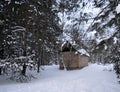 Winter, snow, forest, tree, cold, nature, trees, landscape, white, birch, frost, woods, ice, wood, season, park, sky, snowy, blue, Royalty Free Stock Photo