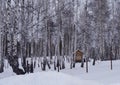 Winter, snow, forest, tree, cold, nature, trees, landscape, white, birch, frost, woods, ice, wood, season, park, sky, snowy, blue, Royalty Free Stock Photo