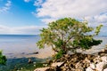 Punta Gorda harbor and peace river Royalty Free Stock Photo