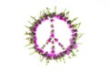 Peace sign Pacific-a symbol of peace, lined with delicate pink flowers blossomed Thistle.