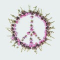 Peace sign Pacific-a symbol of peace, disarmament and anti-war movement, lined with delicate pink flowers