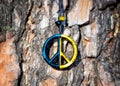 Peace sign pendant painted blue and yellow Royalty Free Stock Photo