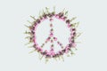 Peace sign - a symbol of peace, disarmament and anti-war movement, lined with delicate pink flowers