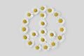 Peace symbol made of daisies flower