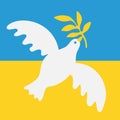 Peace to ukraine. Symbol of peace - dove with a laurel branch on the blue-yellow Royalty Free Stock Photo