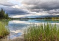 Forest and scattered cloud reflected in clear, calm Boya Lake