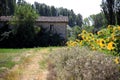 Peace and tranquility for the old house surrounded by nature near a field of sunflowers, Italy Royalty Free Stock Photo