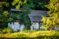 Peaceful abandoned old cottage at summer sunset in the woods