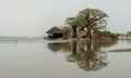 Peaceful african landscape near Sine Saloum, Senegal, Africa