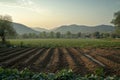 Farmers in a tranquil landscape using tablets for modern agriculture tasks