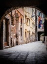 Peaceful alleyway with traditional brick buildings in the background