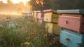 Peaceful apiary among wildflowers. Bee hives in a sunlit meadow. Beekeeping. Concept of apiculture, honey farming Royalty Free Stock Photo