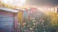 Peaceful apiary among wildflowers. Bee hives in a sunlit meadow. Beekeeping. Concept of apiculture, honey farming Royalty Free Stock Photo