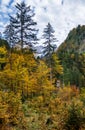 Autumn Alps mountain forest and hunting tower view. Near Gosauseen or Vorderer Gosausee lake, Upper Austria. Dachstein Royalty Free Stock Photo