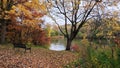 Peaceful autumn colours along the river with an empty park bench Royalty Free Stock Photo