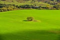 Peaceful autumn green meadow, beautiful nature