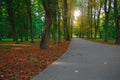 peaceful autumn morning park sunrise landscape with foot path asphalt road for walking and surrounding by falling leaves and trees Royalty Free Stock Photo