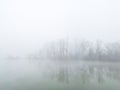 Autumn scene of river island with a deciduous grove in deep fog.