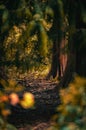 Peaceful autumn scene of a winding path surrounded by vibrant colors of fall foliage Royalty Free Stock Photo