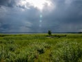 Peaceful beach dunegrass and storm clouds