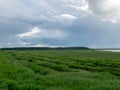 Peaceful beach dunegrass and storm clouds