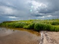 Peaceful beach dunegrass and storm clouds