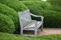 Peaceful Bench surrounded by Shrubs