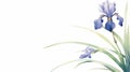 Peaceful blue iris painted in watercolor with elegant details Royalty Free Stock Photo