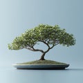 A peaceful bonsai tree situated in a ceramic pot ideal for minimalist interior design and zen influence Royalty Free Stock Photo