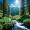 peaceful brook from spring winds its way through dense spruce forest and a Royalty Free Stock Photo