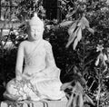 Peaceful Buddha Meditating Artistic Black and White Image Royalty Free Stock Photo