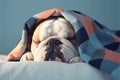 Peaceful bulldog napping under a warm blanket in tranquil slumber