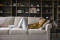 Peaceful calm mature woman lying on sofa with closed eyes