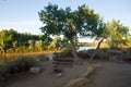 A calm scene as the sun rises over a river in the desert