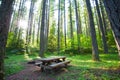 Peaceful campground or picnic spot Royalty Free Stock Photo