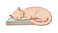 Peaceful Cat Napping on a Light Blue Book, vector design Generative AI Royalty Free Stock Photo